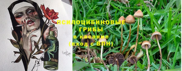 крисы Алексеевка