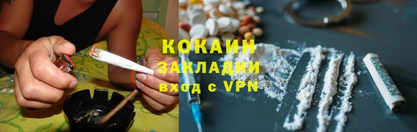 ешки Алексин