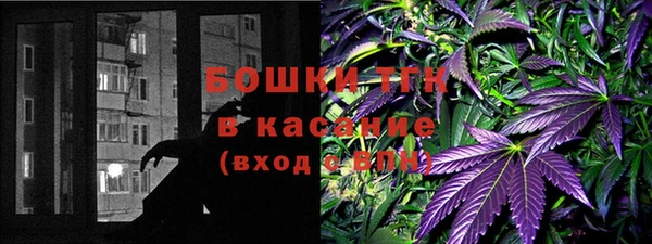 ешки Алексин