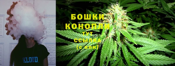 ешки Алексин