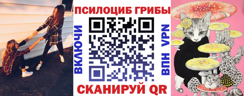 Псилоцибиновые грибы MAGIC MUSHROOMS  Дудинка 